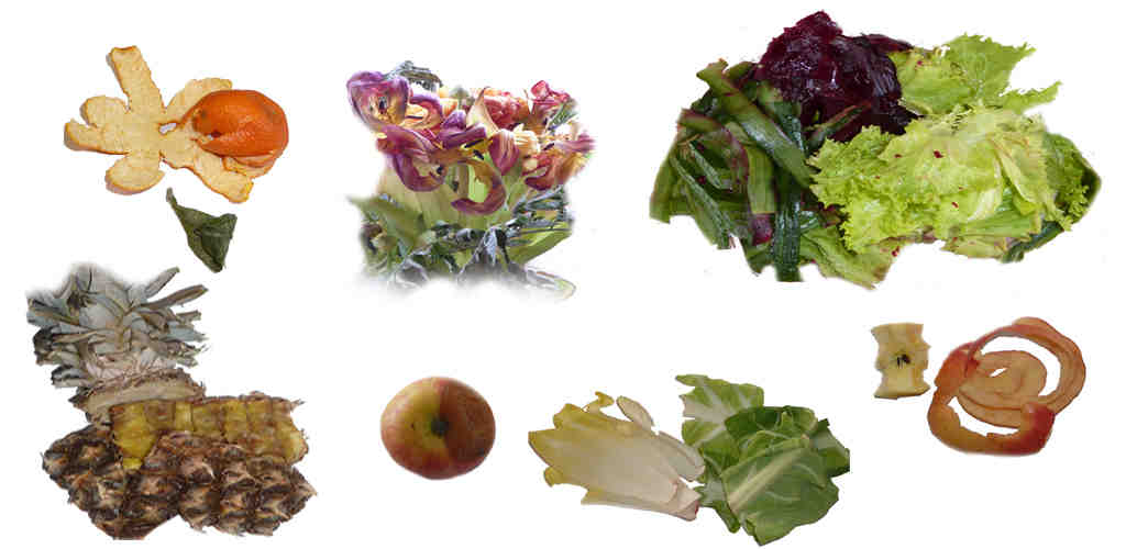 fleurs, fanees, fruits, et